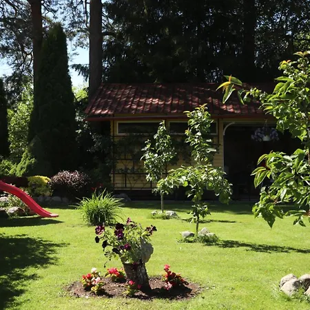 Homestay Tiigi *