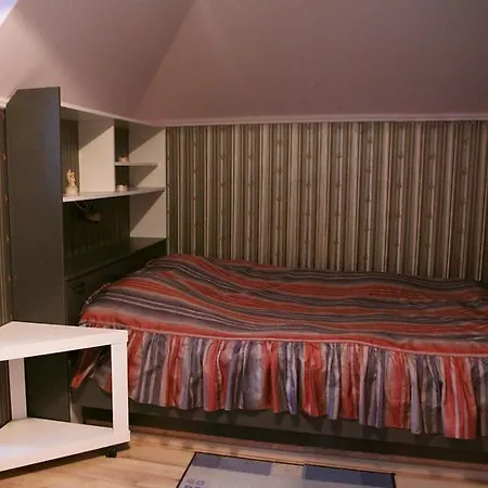 Homestay Tiigi