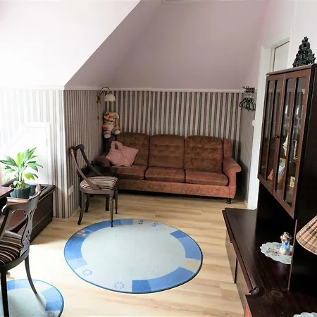 Tiigi Homestay *